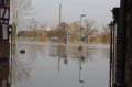 Hochwasser Seligenstadt 18.01.2011 015